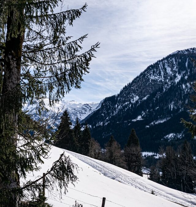 skiferie wargrain